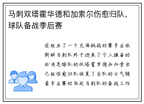 马刺双塔霍华德和加索尔伤愈归队，球队备战季后赛